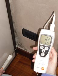Muffa muri in casa nuova Problemi di muffa sui muri